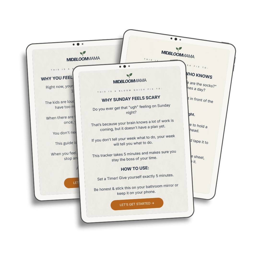 Bloom Quick Fix Bundle